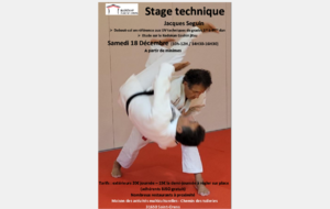 Stage Judo à Saint-Orens avec maître Jacques Seguin