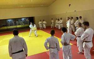 Cours judo adultes sur l'été