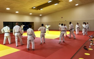 Judo adultes