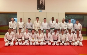 Judo adultes