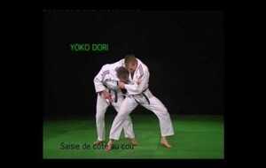 Les 20 techniques de jujitsu